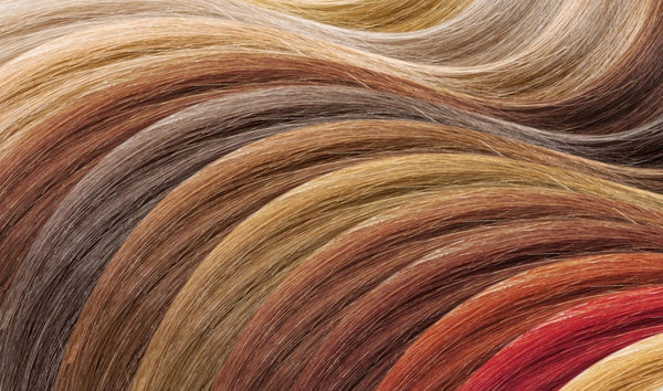 hair colors palette
